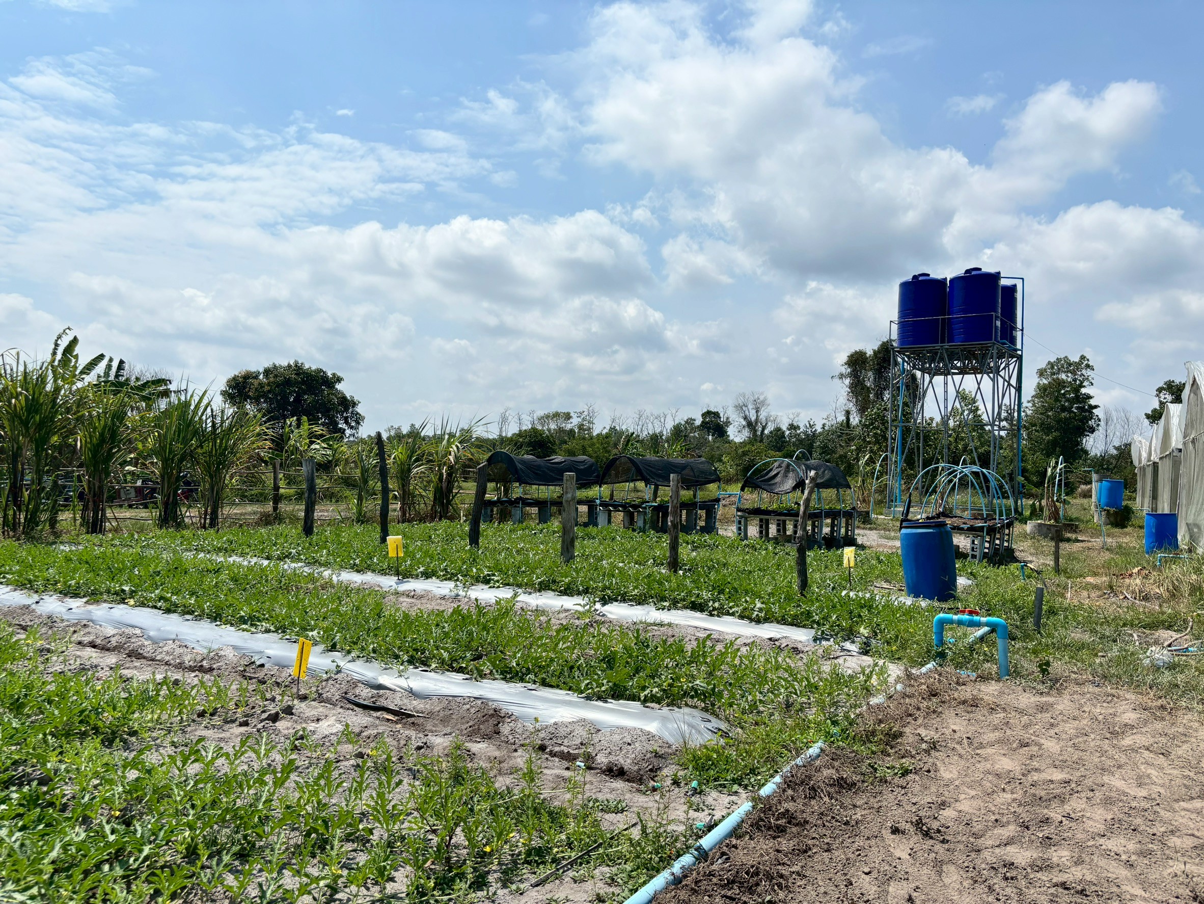 title - ผู้ตรวจราชการ ส.ป.ก. ลงพื้นที่ตรวจราชการ ร่วมกับ ผู้ตรวจราชการกระทรวงเกษตรและสหกรณ์ ณ กลุ่มวิสาหกิจชุมชนแปรรูปผลิตภัณฑ์กระจูดรายา จังหวัดนราธิวาส